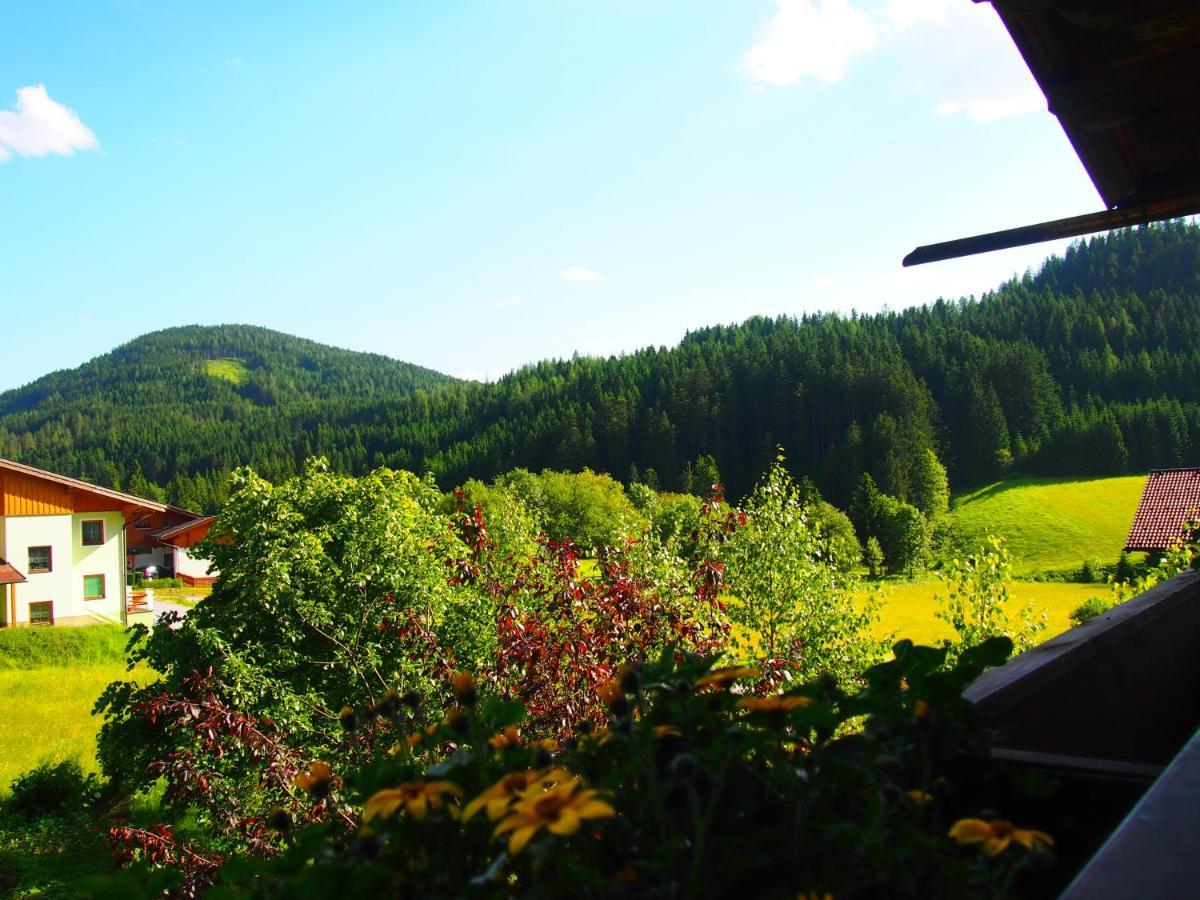 Appartment Kainhofer Sankt Martin am Tennengebirge Exteriör bild
