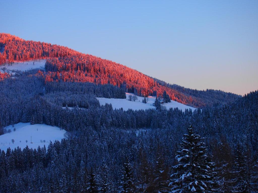 Appartment Kainhofer Sankt Martin am Tennengebirge Exteriör bild