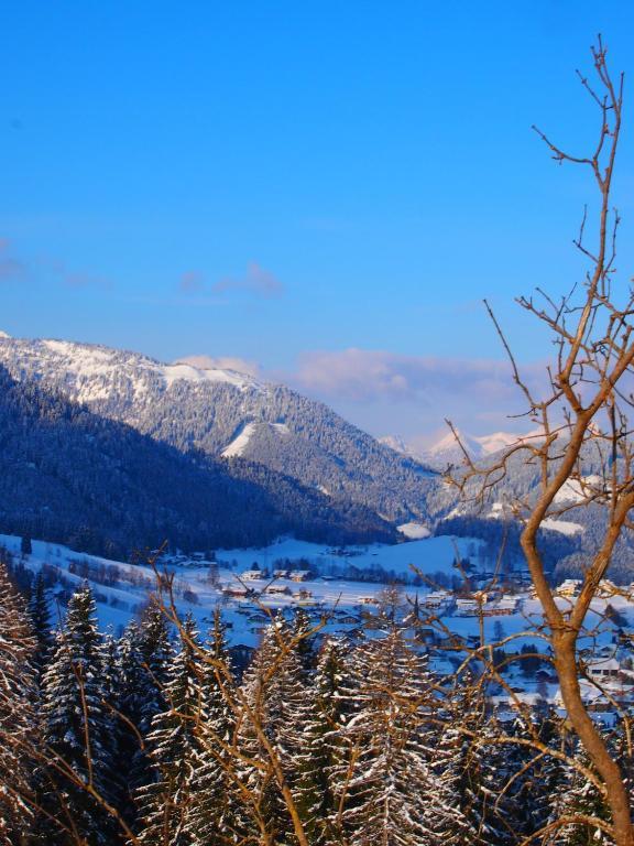 Appartment Kainhofer Sankt Martin am Tennengebirge Exteriör bild