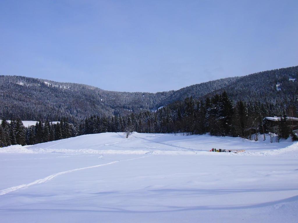 Appartment Kainhofer Sankt Martin am Tennengebirge Exteriör bild
