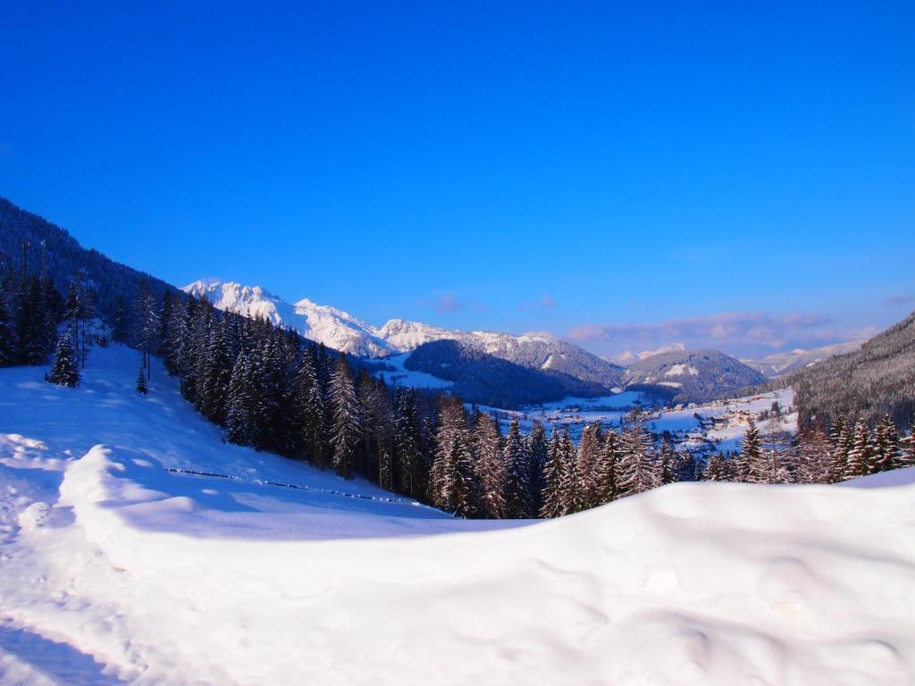 Appartment Kainhofer Sankt Martin am Tennengebirge Exteriör bild