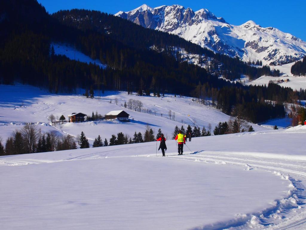 Appartment Kainhofer Sankt Martin am Tennengebirge Exteriör bild