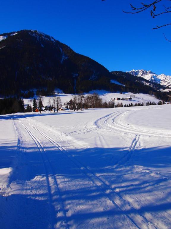 Appartment Kainhofer Sankt Martin am Tennengebirge Exteriör bild